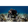 SDI Underwater Navigation Diver